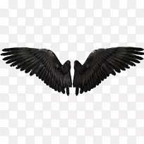 ��ʹyoutube��������ħ�����-������