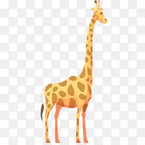 卡通可爱小动物装饰动物头像-空若网 卡通可爱小动物装饰动物头像-空若网