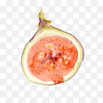 矢量无花果-空若网 矢量无花果-空若网