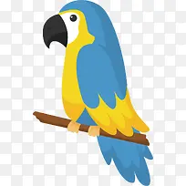 五彩的鹦鹉-空若网 五彩的鹦鹉-空若网