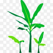 ֦����ɫ��ͨ����㽶��-������