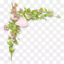 花坛-空若网 花坛-空若网