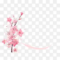 一枝盛开的多个花朵的梅花树枝-空若网 一枝盛开的多个花朵的梅花树枝-空若网
