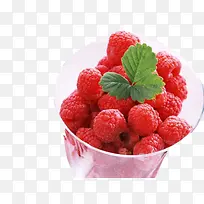 杯子里的蔓梅图片素材-空若网 杯子里的蔓梅图片素材-空若网