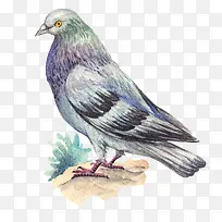 卡通可爱小动物装饰动物头像-空若网 卡通可爱小动物装饰动物头像-空若网