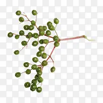 树果装饰素材-空若网 树果装饰素材-空若网