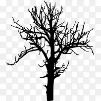 树枝桌面壁纸绘图-树透明-空若网 树枝桌面壁纸绘图-树透明-空若网