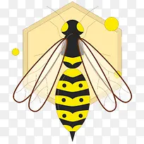 ��ͨ�ɰ�С����װ�ζ���ͷ��-������