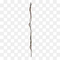 手绘树藤装饰-空若网 手绘树藤装饰-空若网