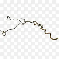 树枝-空若网 树枝-空若网