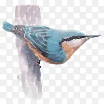 卡通可爱小动物装饰动物头像-空若网 卡通可爱小动物装饰动物头像-空若网