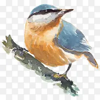 卡通可爱小动物装饰动物头像-空若网 卡通可爱小动物装饰动物头像-空若网