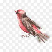 卡通可爱小动物装饰动物头像-空若网 卡通可爱小动物装饰动物头像-空若网