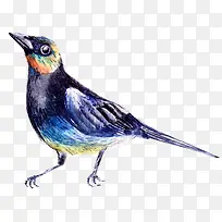 卡通可爱小动物装饰动物头像-空若网 卡通可爱小动物装饰动物头像-空若网