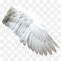 �ɰ�С����װ�κ���װ�γ��-������