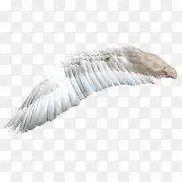 �ɰ�С����װ�κ���װ�γ��-������