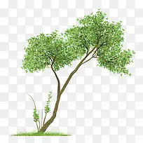 �Ჱ�Ӵ���-������