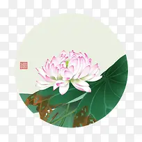 白色荷花-空若网 白色荷花-空若网