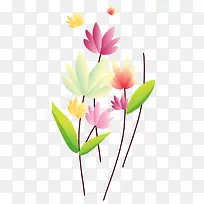 简画荷花-空若网 简画荷花-空若网