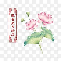 查看更多新品标签-空若网 查看更多新品标签-空若网