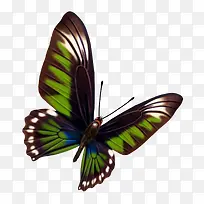 ºûµû-¿ÕÈôÍø ºûµû-¿ÕÈôÍø