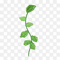 春天植物叶子小草-空若网 春天植物叶子小草-空若网