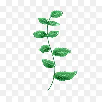 春天小草植物叶子-空若网 春天小草植物叶子-空若网