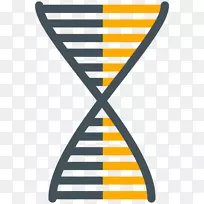 科学家科学计算机图标计算机软件医学dna-空若网 科学家科学计算机图标计算机软件医学dna-空若网