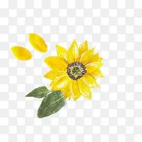 向日葵水彩画-空若网 向日葵水彩画-空若网
