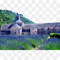 ����Ѭ�²�ׯ԰-������