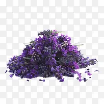 ����Ѭ�²�-������