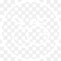 白色水果-空若网 白色水果-空若网