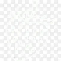 纯白水果-空若网 纯白水果-空若网