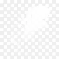 ��ɫ������ë-������