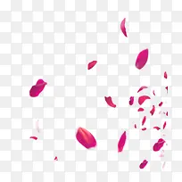 漂浮花瓣-空若网 漂浮花瓣-空若网