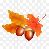 ʸ����ӷ�Ҷ�ز�-������