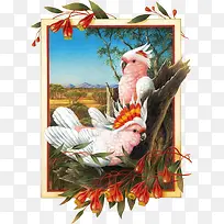 �ֻ�����-������