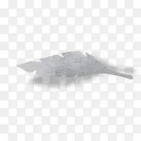 ��ҶƮ���ز���Ҷ����ͼƬ�ز�-������