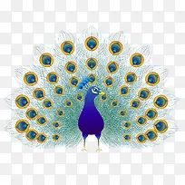 彩色扁平化孔雀元素-空若网 彩色扁平化孔雀元素-空若网