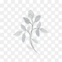 ��֦-������