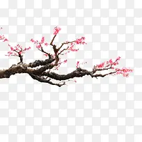 树枝梅花-空若网 树枝梅花-空若网