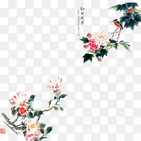 �ֻ�컨��Ҷ-������