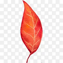 卡通手绘红叶-空若网 卡通手绘红叶-空若网