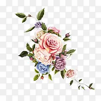 ������Ҷ-������