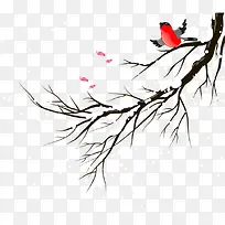 Ãâ¿Û¿¨Í¨¶¬¼¾Ê÷Ö¦ÉÏ·ÉÏèµÄÄñ-¿ÕÈôÍø Ãâ¿Û¿¨Í¨¶¬¼¾Ê÷Ö¦ÉÏ·ÉÏèµÄÄñ-¿ÕÈôÍø