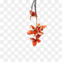 ��ɫ�������Ԫ��-������