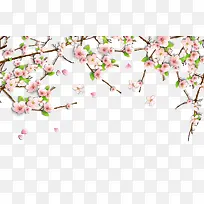 ���ӣ����֦-������