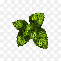 ��ɫ�������߲˹Ϲ���廭�����-������