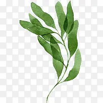 水彩树叶素材-空若网 水彩树叶素材-空若网