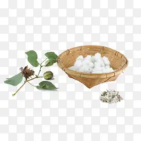 新鲜棉花-空若网 新鲜棉花-空若网